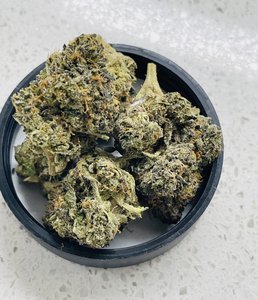 Sherb Crasher (Exotic) (Indica) 3.5G